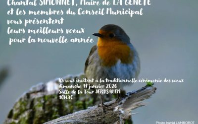 Invitation à la cérémonie des Voeux 11 Janvier 2026